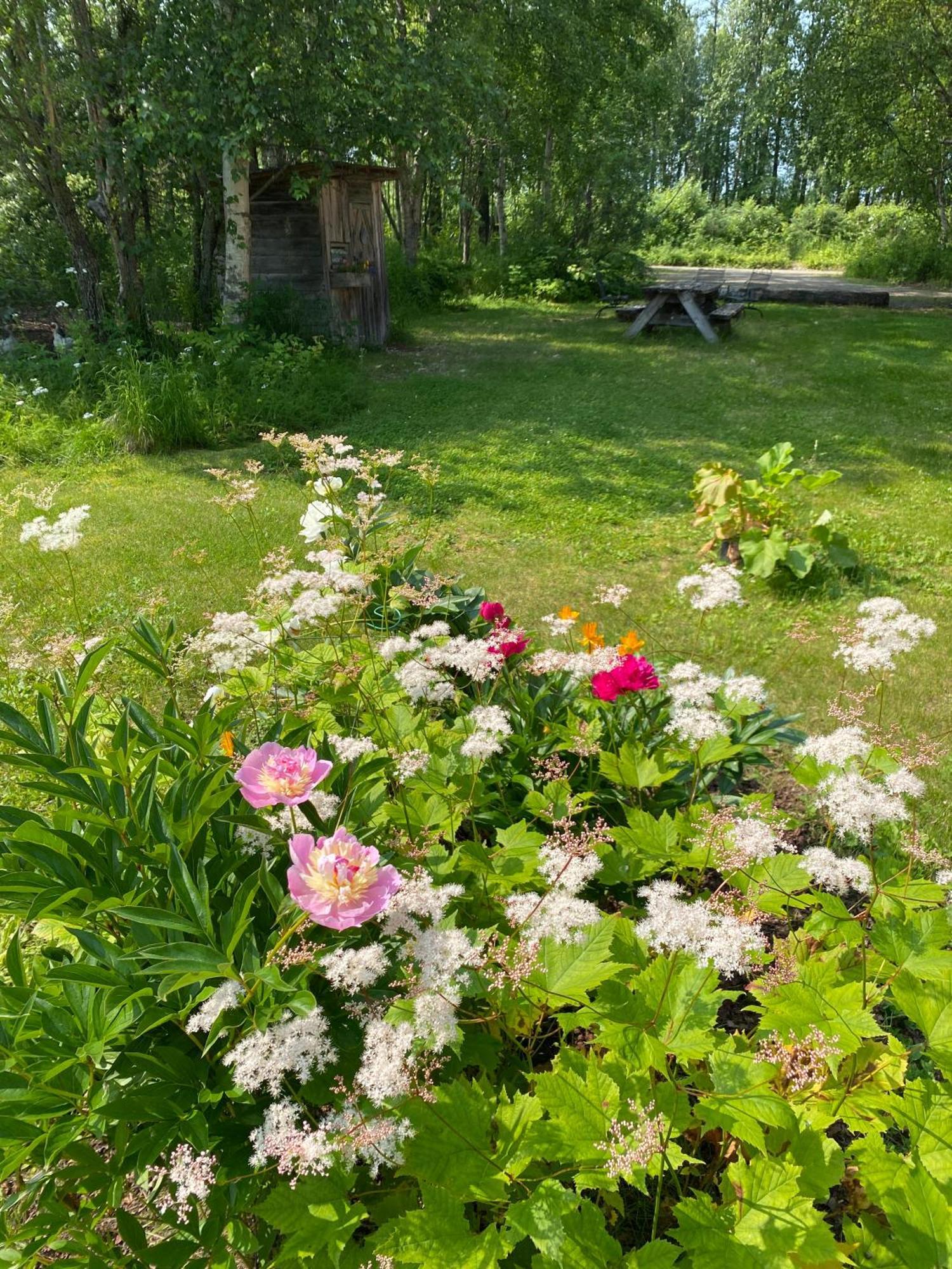 Trapper John'S Cabin & Cottages Talkeetna Εξωτερικό φωτογραφία